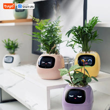 Load image into Gallery viewer, IvySense™ - Tuya Ivy Smart Planter
